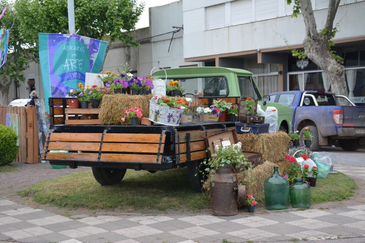 Una hermosa muestra que tiene una cara solidaria