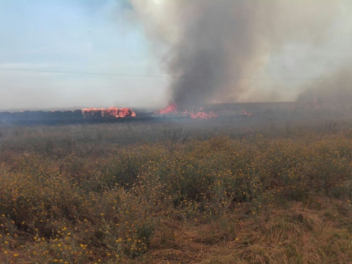 Incendios de pastizales… la pesadilla de los bomberos