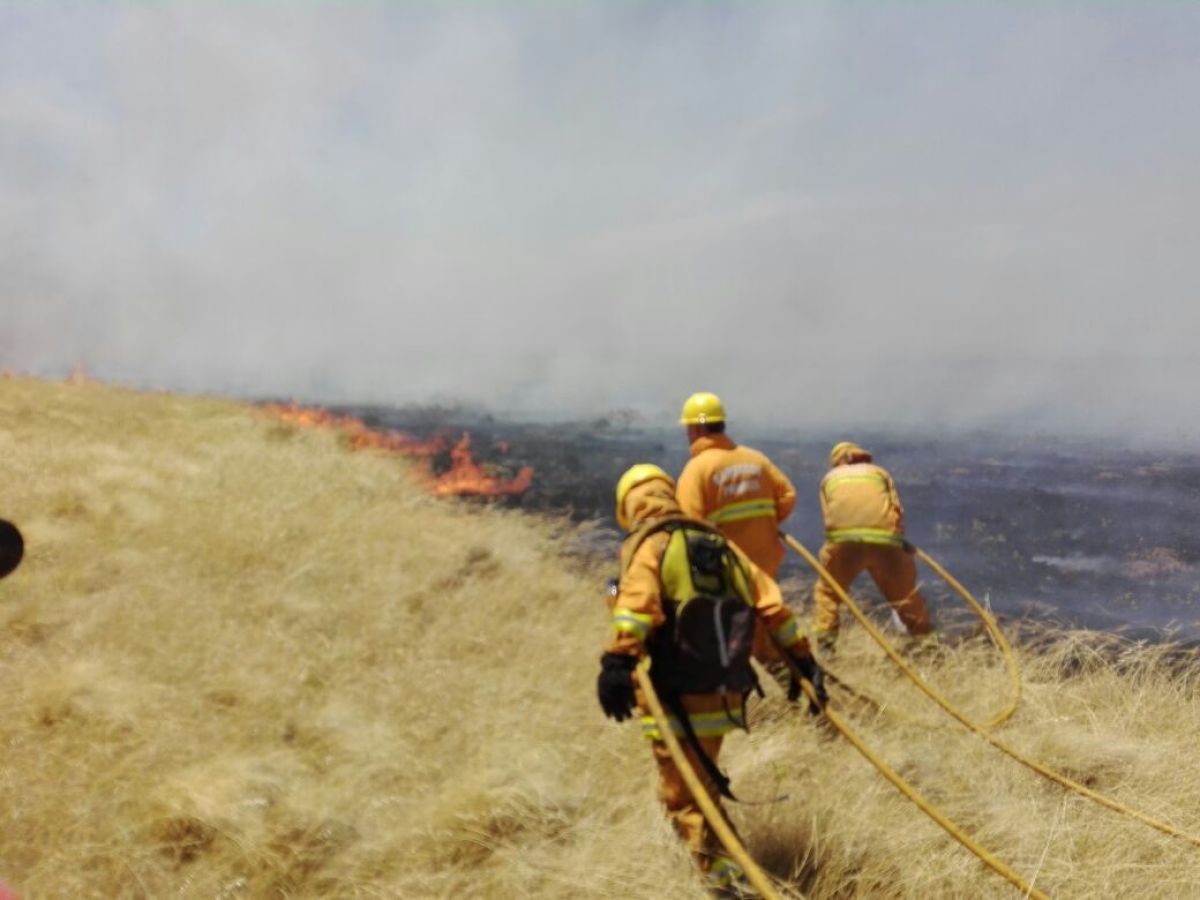 Incendios de pastizales… la pesadilla de los bomberos