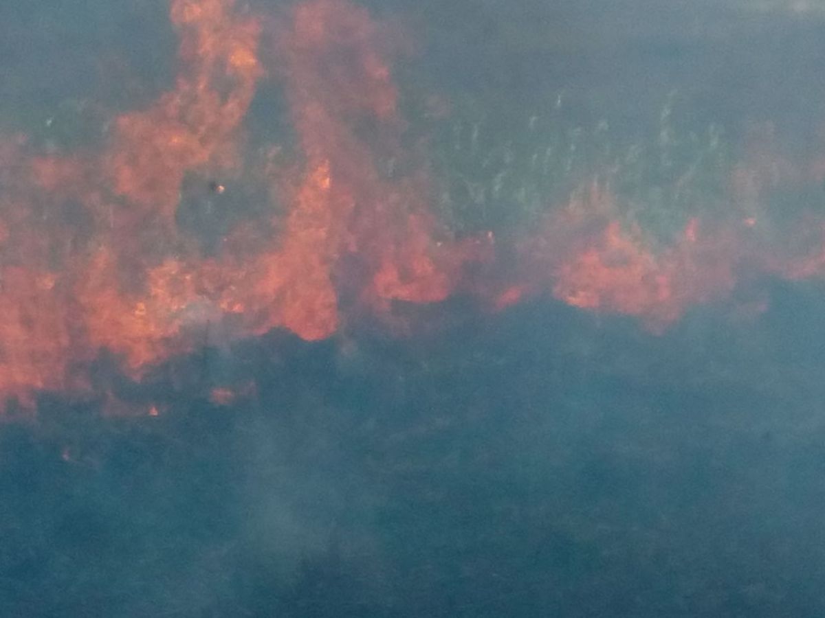 Incendios de pastizales… la pesadilla de los bomberos