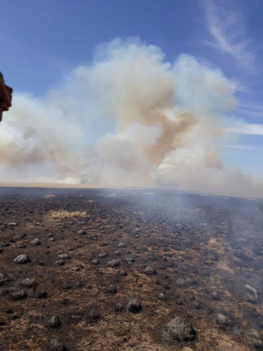 Incendios de pastizales… la pesadilla de los bomberos