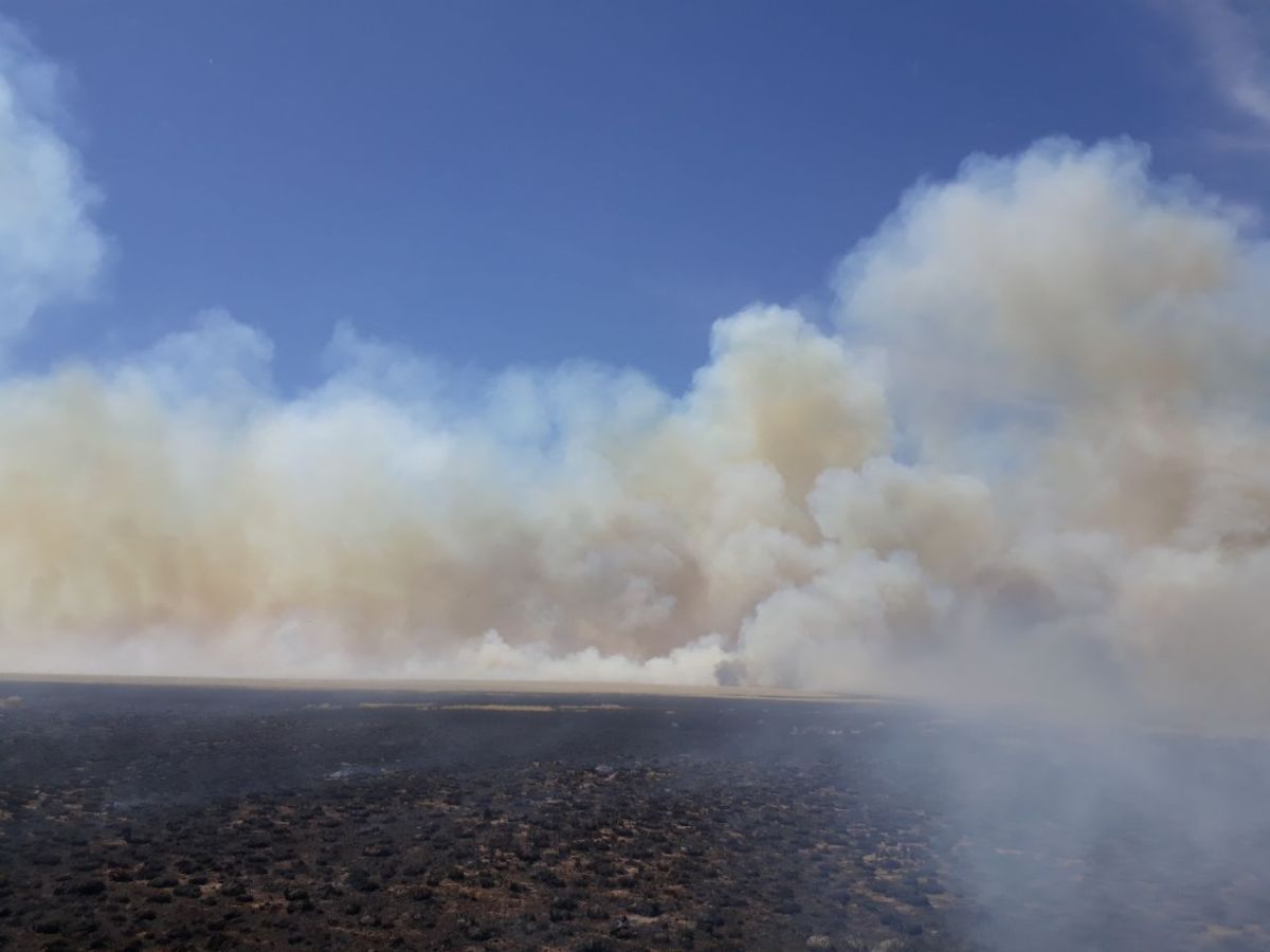 Incendios de pastizales… la pesadilla de los bomberos