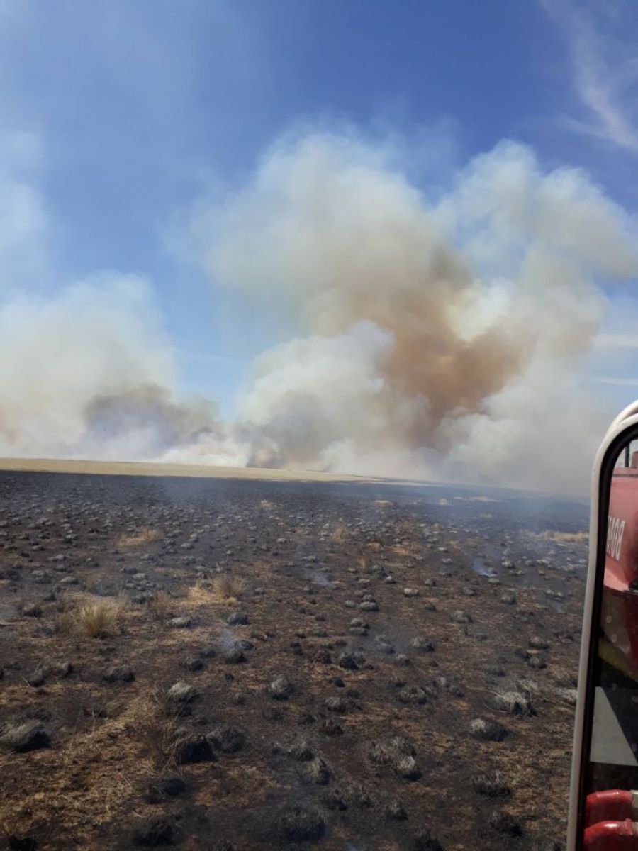 Incendios de pastizales… la pesadilla de los bomberos