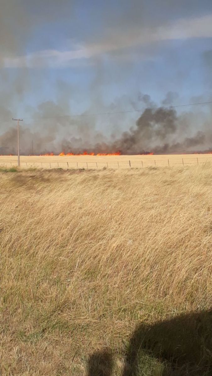 Incendios de pastizales… la pesadilla de los bomberos
