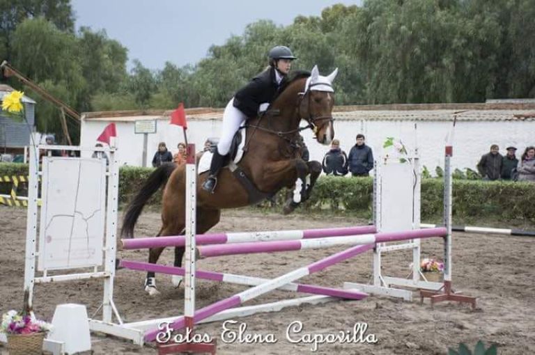 Seis podios para los jinetes pringlenses