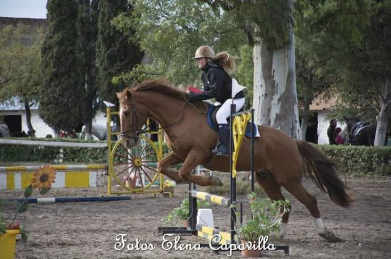 Seis podios para los jinetes pringlenses