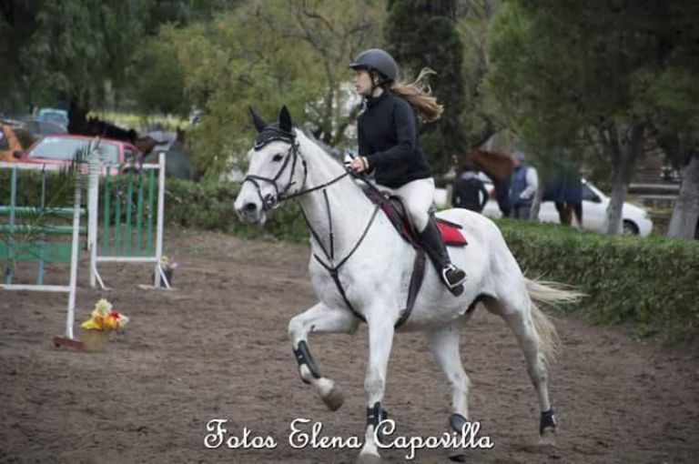 Seis podios para los jinetes pringlenses