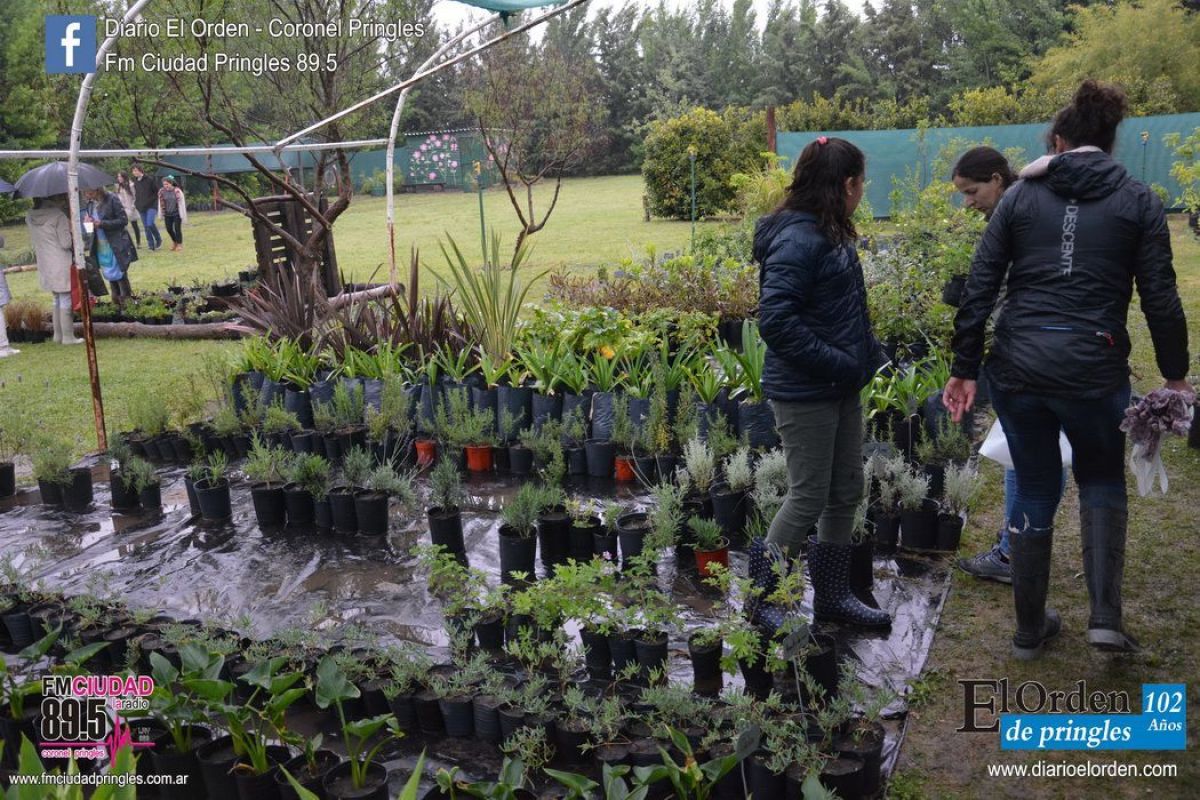 'Tranqueras Abiertas' le puso el pecho a la lluvia y le ganó