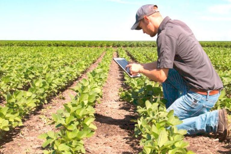 El modelo agroexportador | El Orden de Pringles