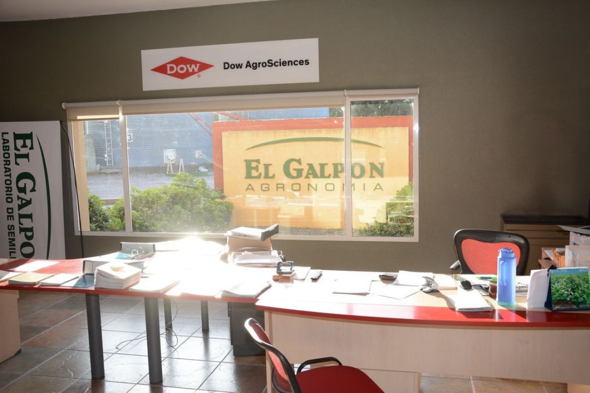 Un laboratorio de semillas que apuesta a la producción del más alto nivel