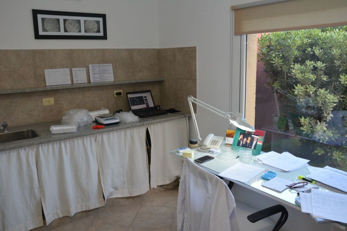 Un laboratorio de semillas que apuesta a la producción del más alto nivel