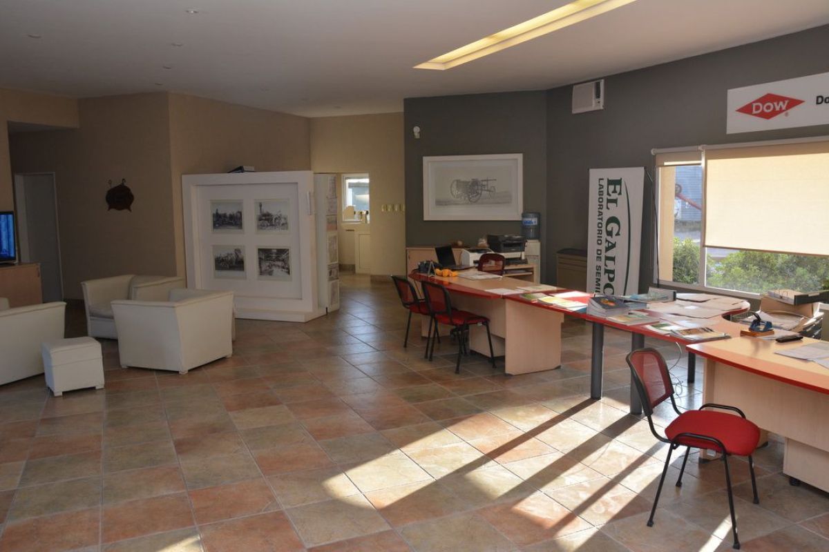 Un laboratorio de semillas que apuesta a la producción del más alto nivel