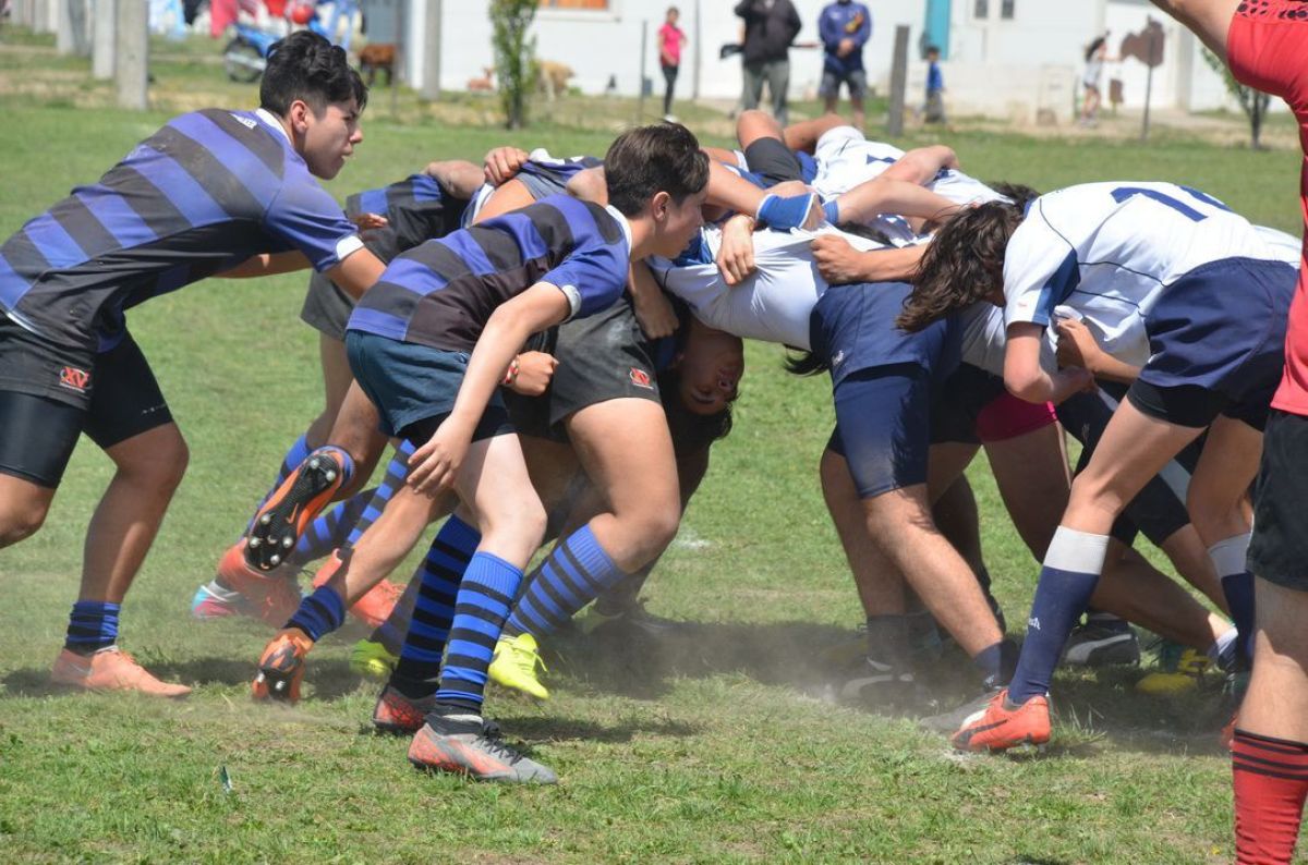 Despidieron el año con una gran victoria en M17