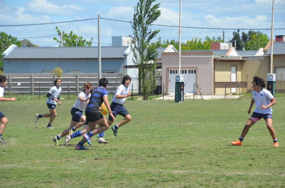 Despidieron el año con una gran victoria en M17