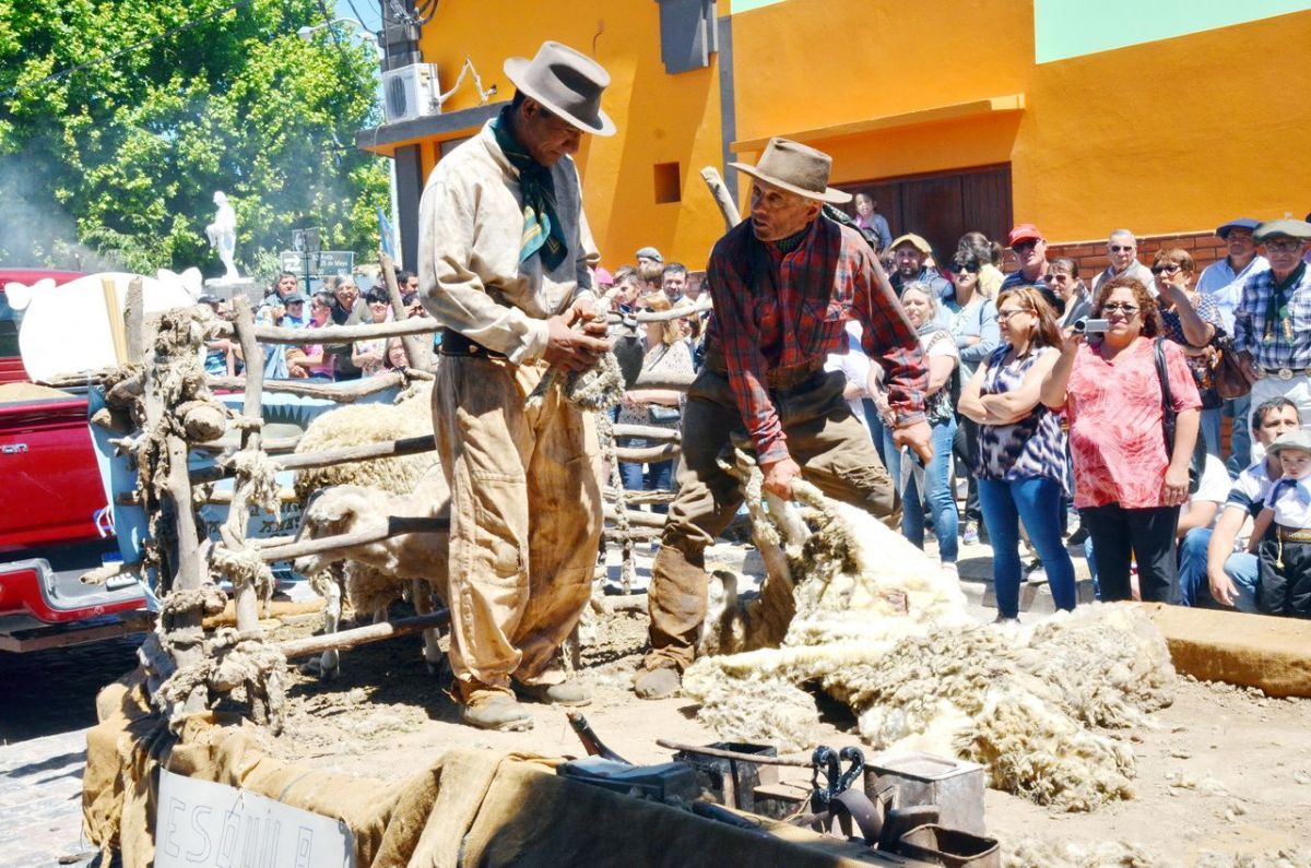 Gran lucimiento de jinetes y emprendados en el desfile gaucho