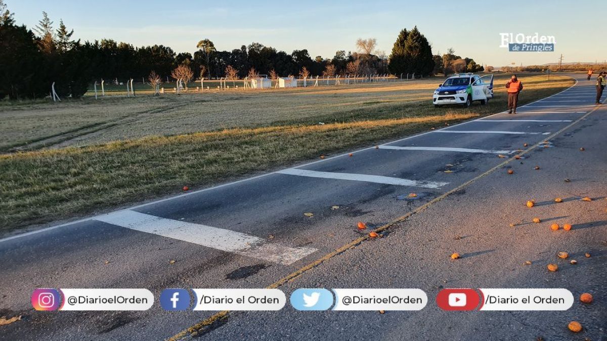 Un camión con carga de frutas y verduras volcó en Ruta 51