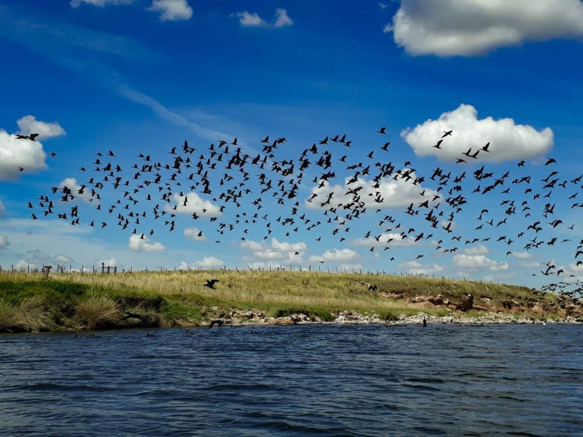 Se disputó la travesía del Río Quequén Salado